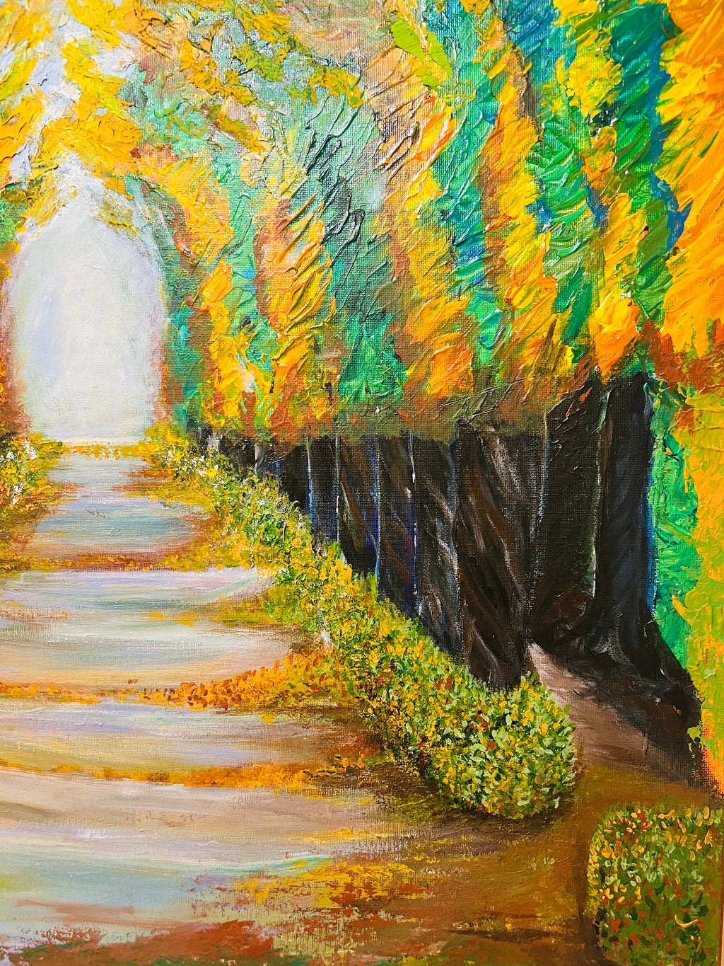 Schonbrunn Palace Gardens thick textured trees and colourful foliage in Autumn