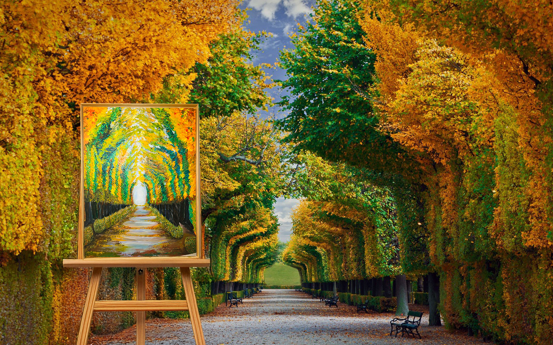 Schonbrunn Palace Gardens thick textured trees and colourful foliage in Autumn